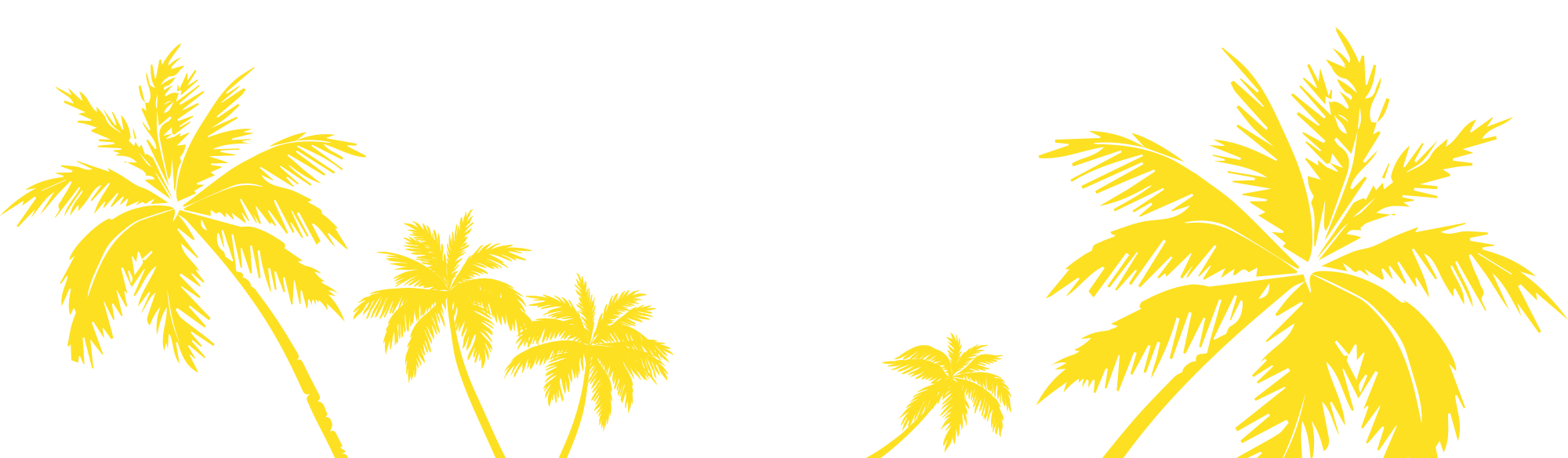 Palm Trees